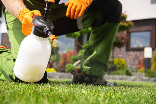 Best Wasp Removal Services  in River Hills, WI