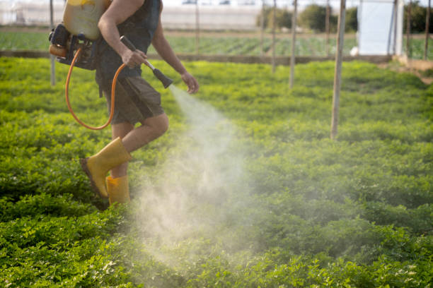 Best Commercial Pest Control Services  in River Hills, WI