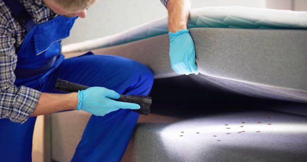 Best Best Pest Control Companies  in River Hills, WI