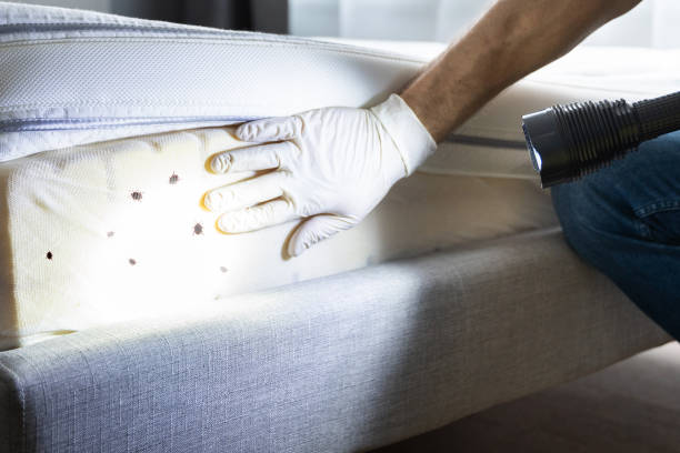Best Pest Prevention Services  in River Hills, WI