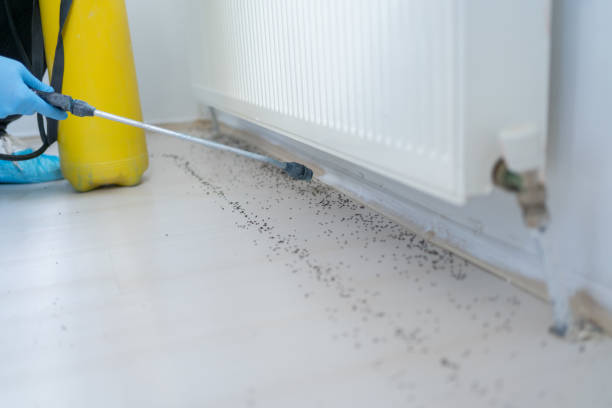 Best Termite Control Services  in River Hills, WI