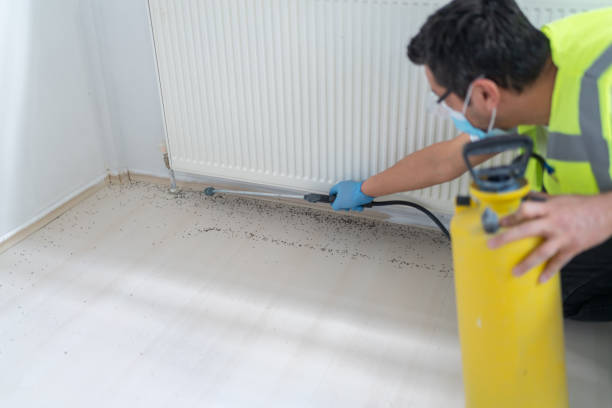 Best Wasp Removal Services  in River Hills, WI